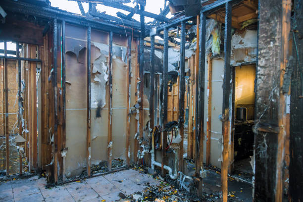 Professional Odor Removal technician working in Carrollton, VA