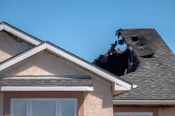 Top rated local Odor Removal specialists in Carrollton, VA